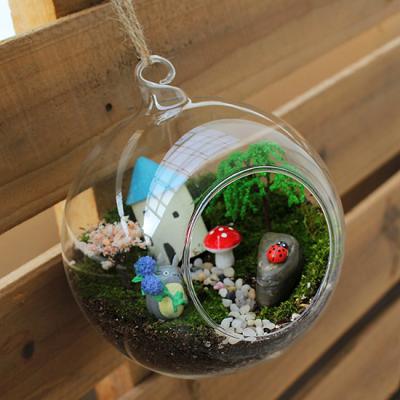 China 2019 NEW 10cm Series Air Plant Mini Greenhouses Hanging Glass Decoration Wedding for sale