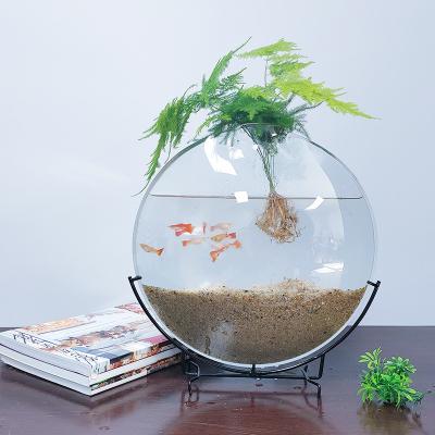 China Modern Minimalist Eco-Friendly Aquarium Glass Hydroponic Plants Europe Crafts Vase Home Decoration Ornaments Transparent Vase for sale