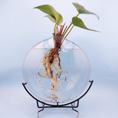 China Europe factory direct sales crafts decoration ornaments transparent home vase modern minimalist glass aquarium hydroponic plants for sale