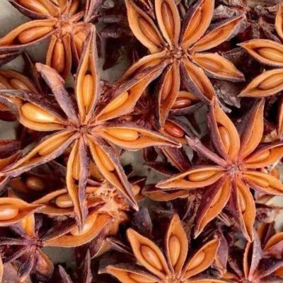 China ZZH Autumn Anise star pod Guangxi star anise stalks Illicium verum dry wholesale star anise for sale