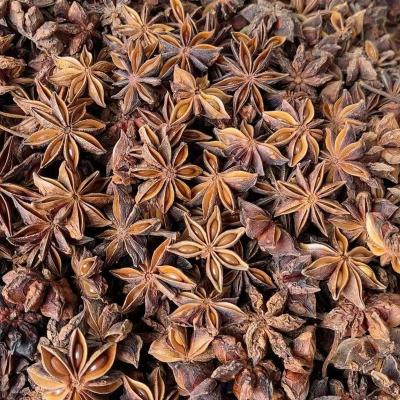 China ZZH China Guangxi yulin big dried star anise crystal star anise spice price for sale