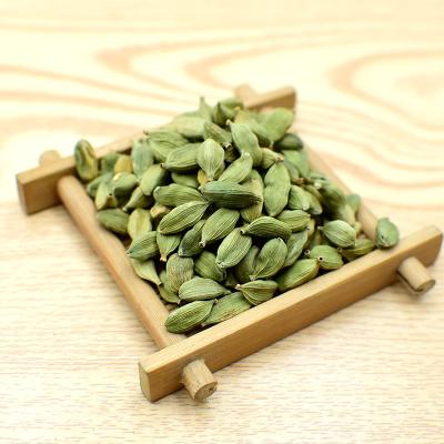 China ZZH Factory Supply Spice Wholesale Price Dry Single Natural Whole Green Cardamom in China Cardex for sale