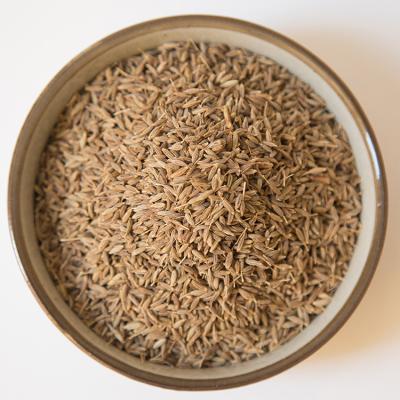 China ZZH Direct Factory Price Dry Cumin Seeds Spices And Herbs Single Cumin Seeds for sale