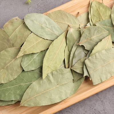 China ZZH Single Dry Herbs and Spices Bay Leaf Bay Laurel Makers Spices Bulk Condiment Dry Bay Leaves for sale