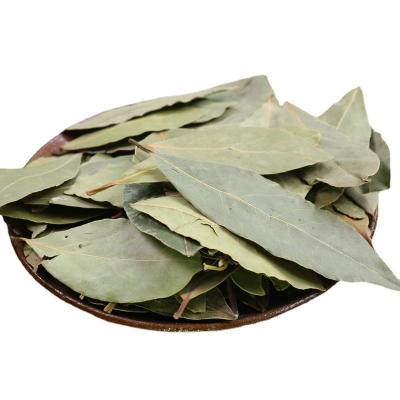 China ZZH dry high quality dry bay leaf price myrcia bay leaves for sale