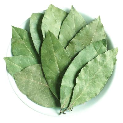 China ZZH dry high quality dry bay leaf price myrcia bay leaves for sale