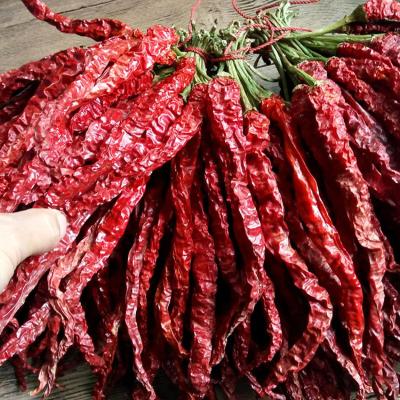 China ZZH Factory Spice Supplier Wholesale Dry Red Chilli Pepper Dried Chilli Dry Red Chilli Pepper for sale