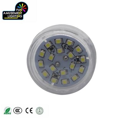 China Top Waterproof Single Color High Brightness IP65 Beautiful LED Theme Park Sale Amusement Lights for sale