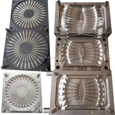 China OEM Plastic Spoon Injection Mold Maker Steel Plastic Mold for Mold Plastic Injection for sale