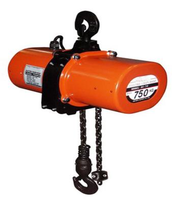 China Electric chian hoist (Du-750) for sale