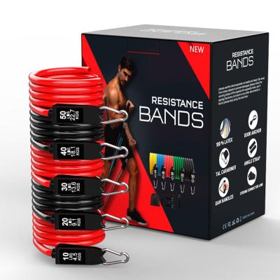 China Latex Customized Multifunctional 12pcs Sports Resistance Band Set Tension Rope Fitness Bands Heavy Duty Handle for sale