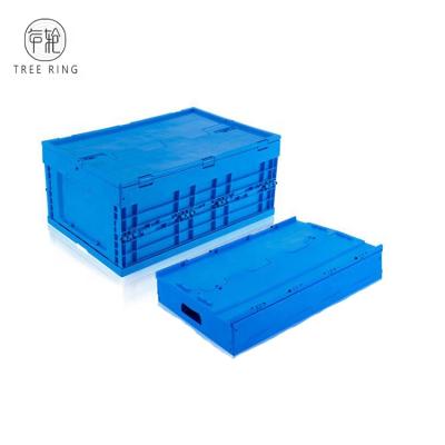 China New Solid Box PP Material Customized Sealed Lids Collapsible Collapsible Stackable Plastic Crate For Carry Fruit for sale