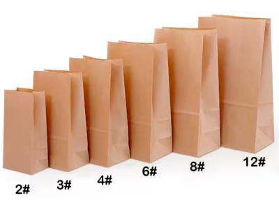 China Recyclable Kraft Paper Biodegradable Food Packaging Bags for sale