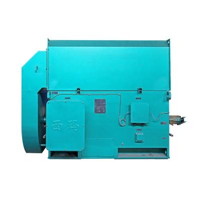 China YKK 450-2-710kW IP55 6000V High Voltage Induction Totally Enclosed Electric AC Motor for sale