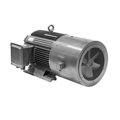 China YVFE2 Totally Enclosed Variable Frequency AC Motor 250-2-55kW 5~70Hz IMB3 ip55 Pump Turbine for sale