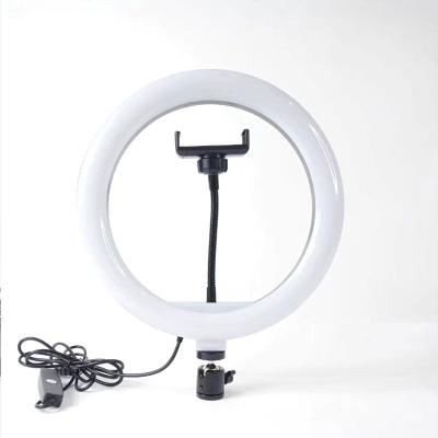 China Hot Sale 10 Inch PORTABLE Colorful RGB Color Changing Ring Light Colorful Video Beauty Fill Light for sale