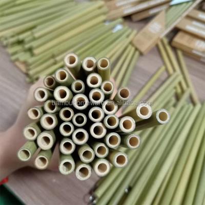 China Sustainable Eco Friendly Reusable Bamboo Drinking Straw Custom Logo With Brush for sale