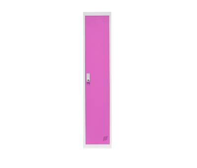 China Adjustable Cheap Steel Locker School Metal Small (Size) 1 Door Modern Design Hotel Locker Gym Metal Single Lockers For Sale for sale