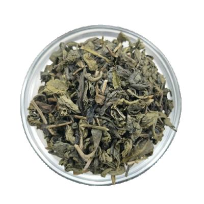 China Taiwan Jasmine Loose Tea Picked Green Tea for sale