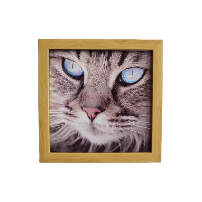 China Home Decoration Picture Photo Frame 8X8 Inch Wall Mounted Colorful Durable Foam Core Lightweight Memorial Plastic PS Photo Frame for sale