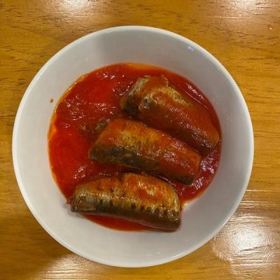 China Hot selling canned sardines in tomato sauce 425gr around 155gr sardine fish canned sardine can tomato for wholesale for sale