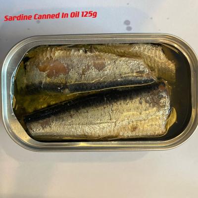 China Canned Morroco Sardines in Sunflower Oil Canned Sardine with Vegetable and Hot Chili Sauce for sale