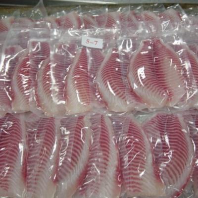 China Low-sodium Purchasing Black Tilapia Fish Farming Tilapia Fillet Vacuum Packing Frozen Fish With Low Price for sale