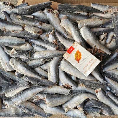 China NATURE Fresh Frozen Fish Sardines Butterfly Headband Customize 1 Hgt Sardine Bulk Sardinella For Spanish Cannery for sale