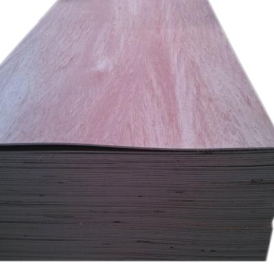 China Modern 3 ply 4 ply bintangor or EV veneer face 3mm 4mm plywood sheet for sale