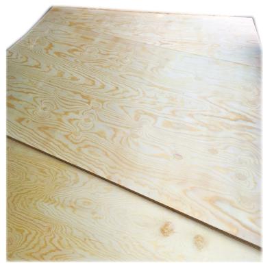 China Contemporary C grade 12mm cdx beam pine plywood for sale