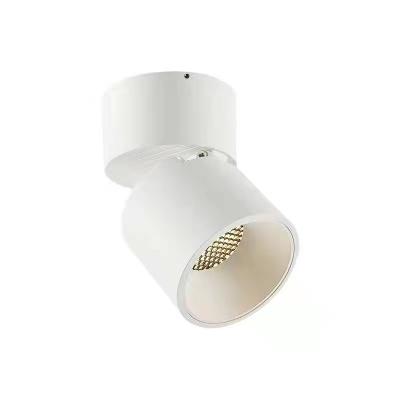 China Surface Mounted / Light Anti Glare Surface Mount Adjustable Round Cob Led Downlight Modern Design for sale