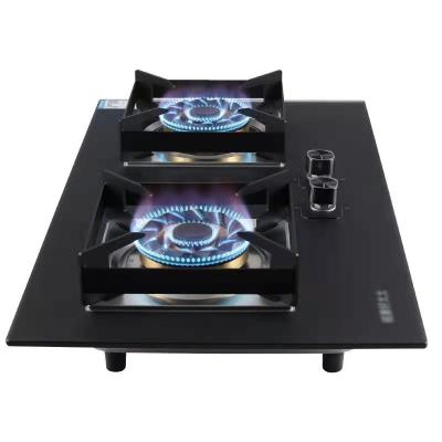 China Hotel Ss Slim Panel 2 Burner Safety Gas Stove Kitchen Appliance Gas Cooker Stove 2 Burner Gas Stove for sale