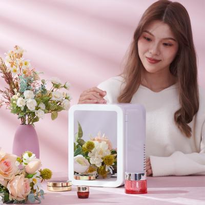 China High quality skin care 4L refrigerator car home refrigerator THERMOELECTRIC mini makeup refrigerator for sale