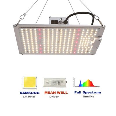 China Seed Starting IP65 Panel Waterproof Plant Growth Lamp Samsung LM281 0-10V Dimming Indoor Garden Tent Full Spectrum LED Grow Light for sale