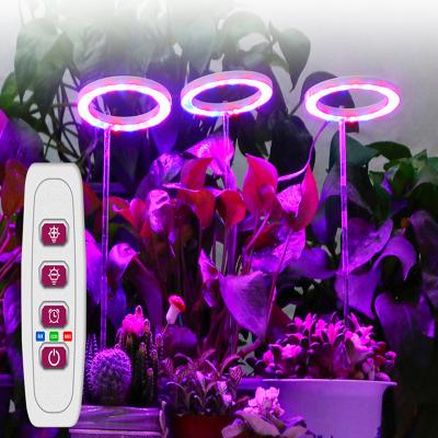 China Seed Starting Lants DC5V USB Phytolamp Led Home Flower Ring Grow Light Full Lamp Spectrum Indoor Plant Seedlings for sale