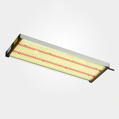 China Seed Starting Veg Flower Plants Lamp lm301B 301H Commercial Full Spectrum Dimmable LED Grow Lights for sale