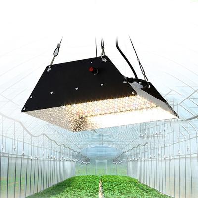 China 3.0 umol/J Greenhouse Growing Plant Indoor Hydroponic Reflective LED Succulent Lamp Full Spectrum LED Grow Light for sale