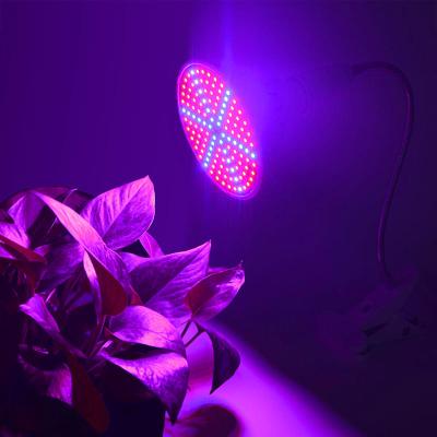 China Seed Seed Growing Clip SMD3528 Seedling Growth Light 6W 15W 20W E27 Full Spectrum Plants Grow Light Bulb for sale