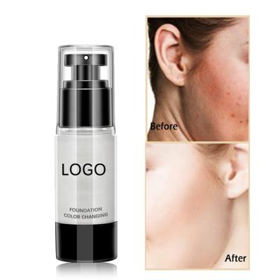 China Wholesale Private Label Vegan Moisturizer Moisturizer Matte Poreless Foundation Make Up Face Primer for sale