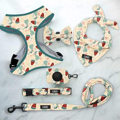 China 2021 Multicolor Wholesale Padded Safety LED Led USB Rechargeable Dog Harness Set Safety Harness Dog Harness Set for sale