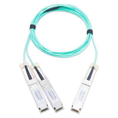 China 200G QSFP-DD To 2x100G QSFP56 Breakout AOC Cables OEM ODM Supported 10m Compatible With Nvidia for sale