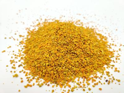 Chine Vente en gros d'usine Pollen frais mélangé Pollen d'abeille brut Granules d'aliments biologiques à vendre