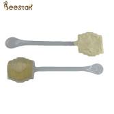 China New Arrival Natural Bee Honey 100% Pure Raw Honey Acacia Spoon Honey Customized for sale