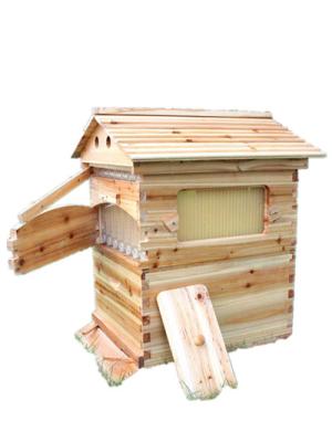 China Self Flow Bee Hive Frames Wooden Beehive Frame Pine Wood For Beekeeping for sale