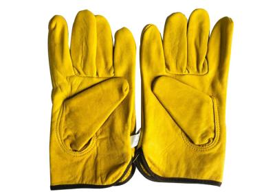 China Beekeeping Equipment Hand Protect Sheepskin White or Yellow Beekeeping Gloves Without Cuff for sale