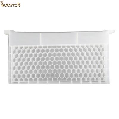 China Food Grade Bee Hive Equipment 49*43.8*22.3cm Honey Bee Feeder Multi Function for sale