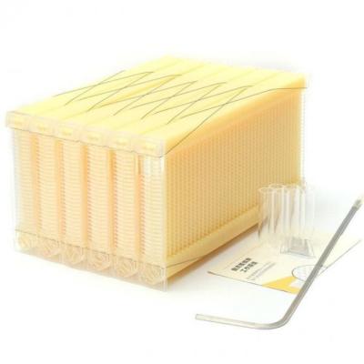 China 7Pcs Plastic Honey Flow Frame of Self-Flowing Honey Bee Hive Flow Beehive for sale