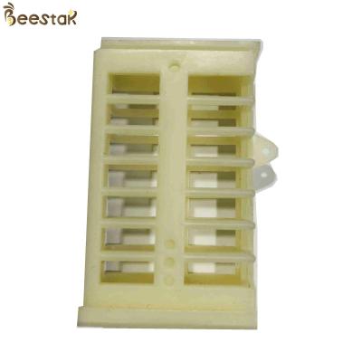 China Plastic Queen Cage Queen Rearing Beekeeping Multifunctional Rearing System for Beekeeping for sale