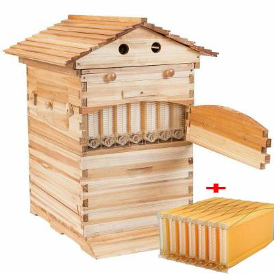 China Beehive And Frame Unassembled flow hive Plus 7 Honey Flow Frames Inside for sale