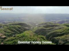 Wholesale High Quality 100% Natural Pure Bush forest Honey No Additives Natural Bee Honey